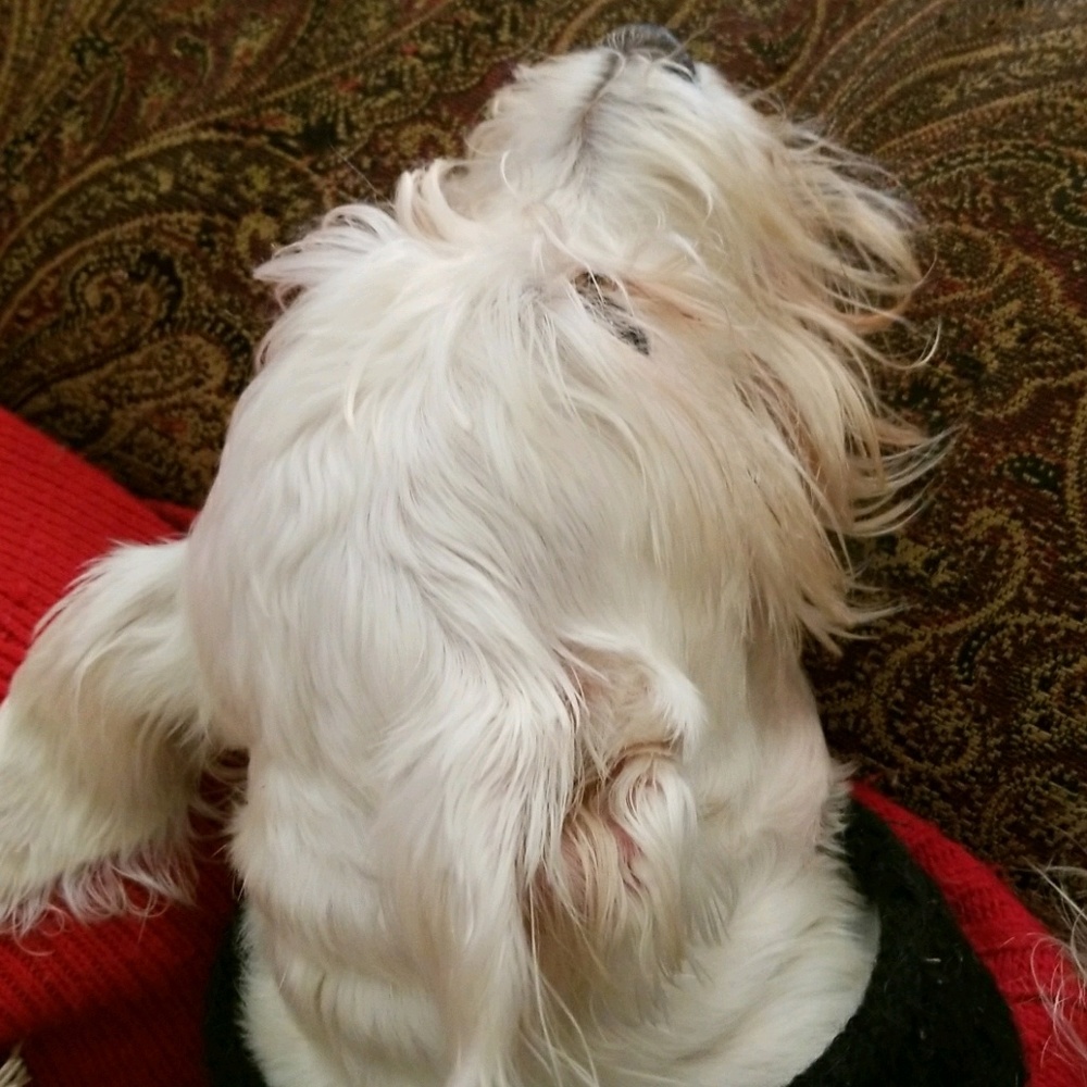 Meet your Posher, Gaby